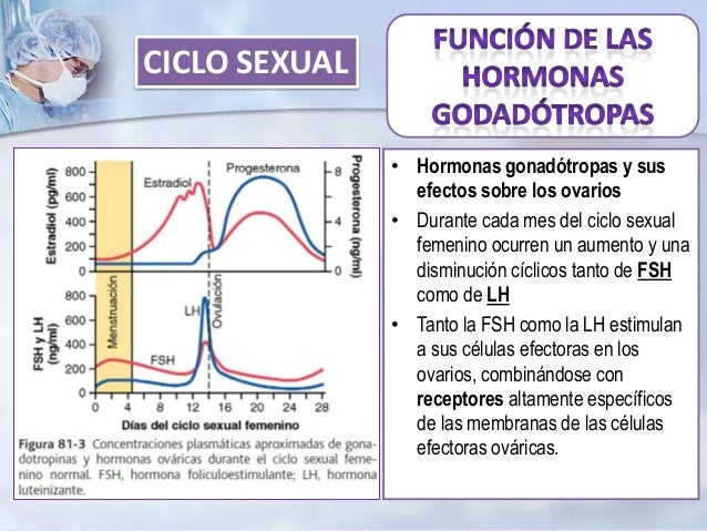 Todas las categorias